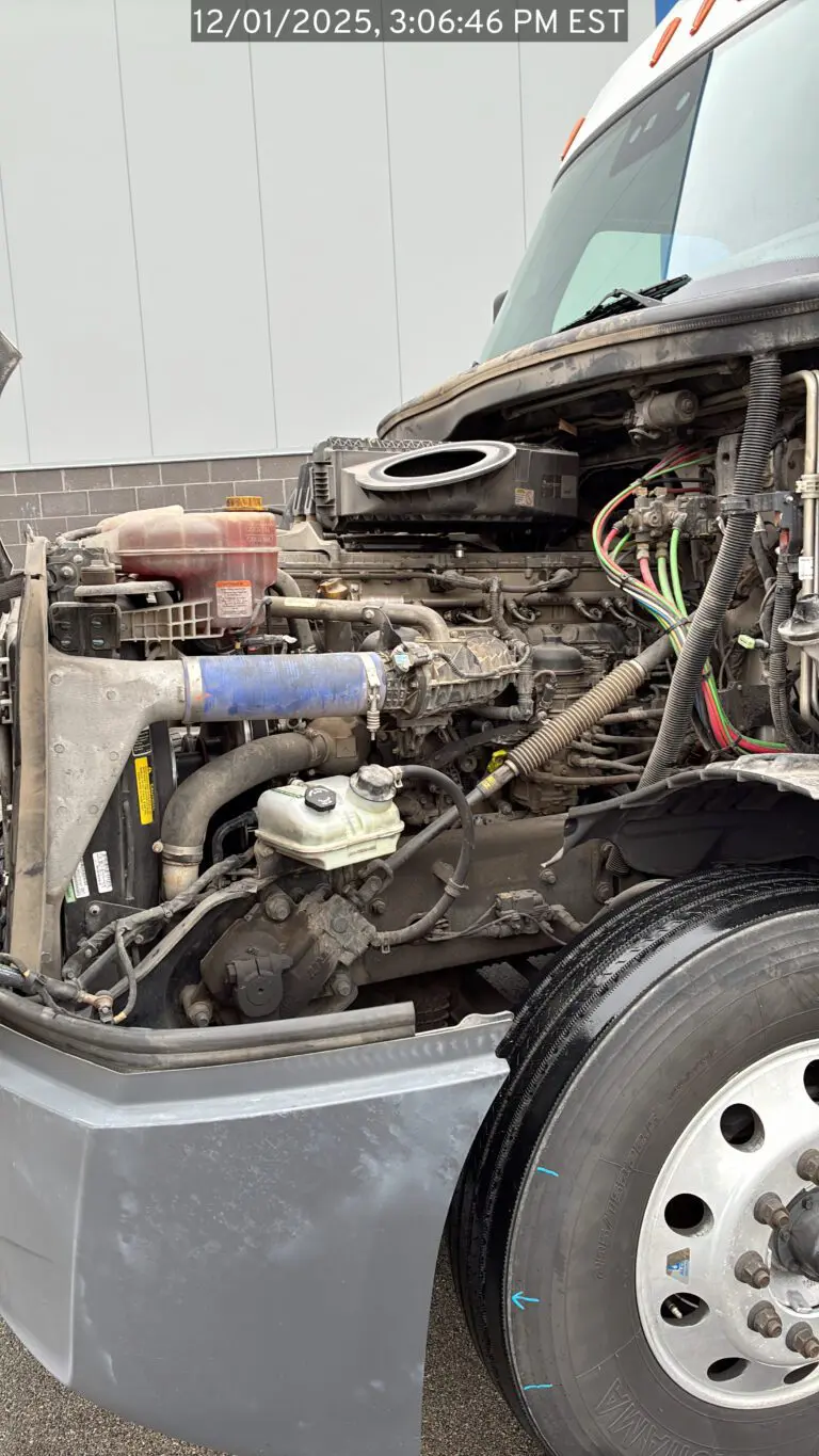 732348155-image-4889A55D-3DA1-486D-917B-4EDA0B560EBE