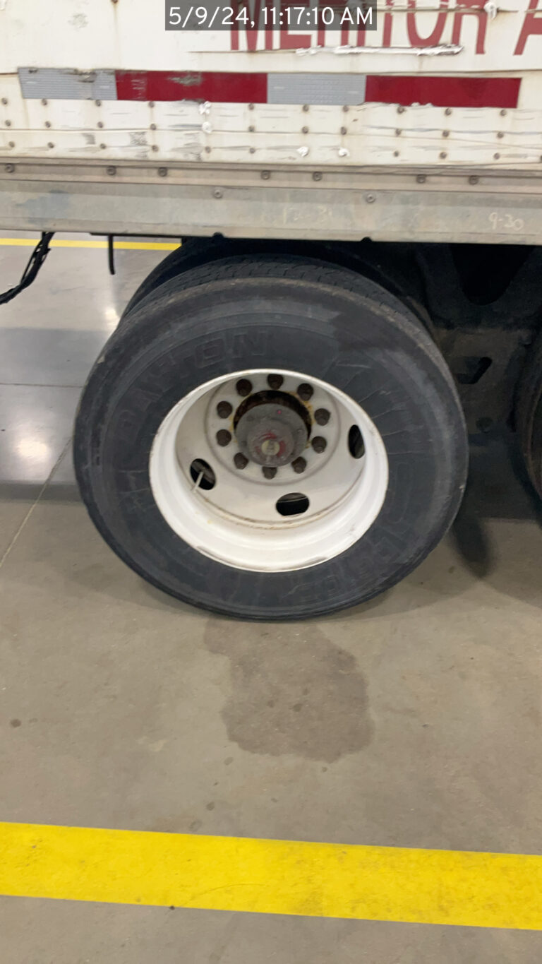 513356596-image-8C1D5563-336D-4D79-AFF0-DE80FB2BE9F3