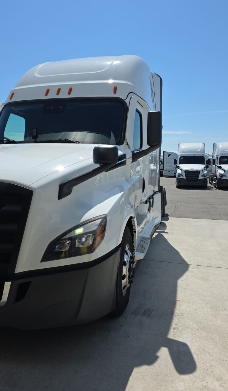 779740670-image-47d3ff29-7863-49c4-895f-b45f14a10c3b-ts