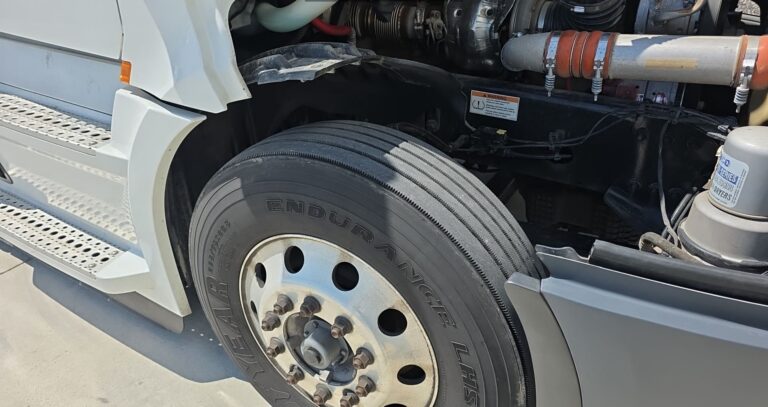 779740686-image-f800d479-919b-4ae7-974d-0fde165c03f1-ts